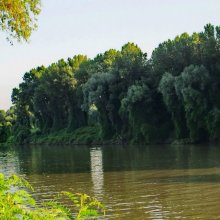 tisza