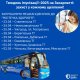 busz